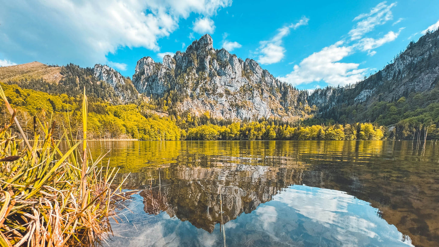 Atemfitness® am Berg Traunsee 12.9.26